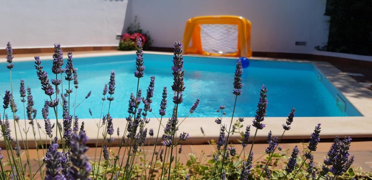 Guest House Bizjak Винкуран Экстерьер фото