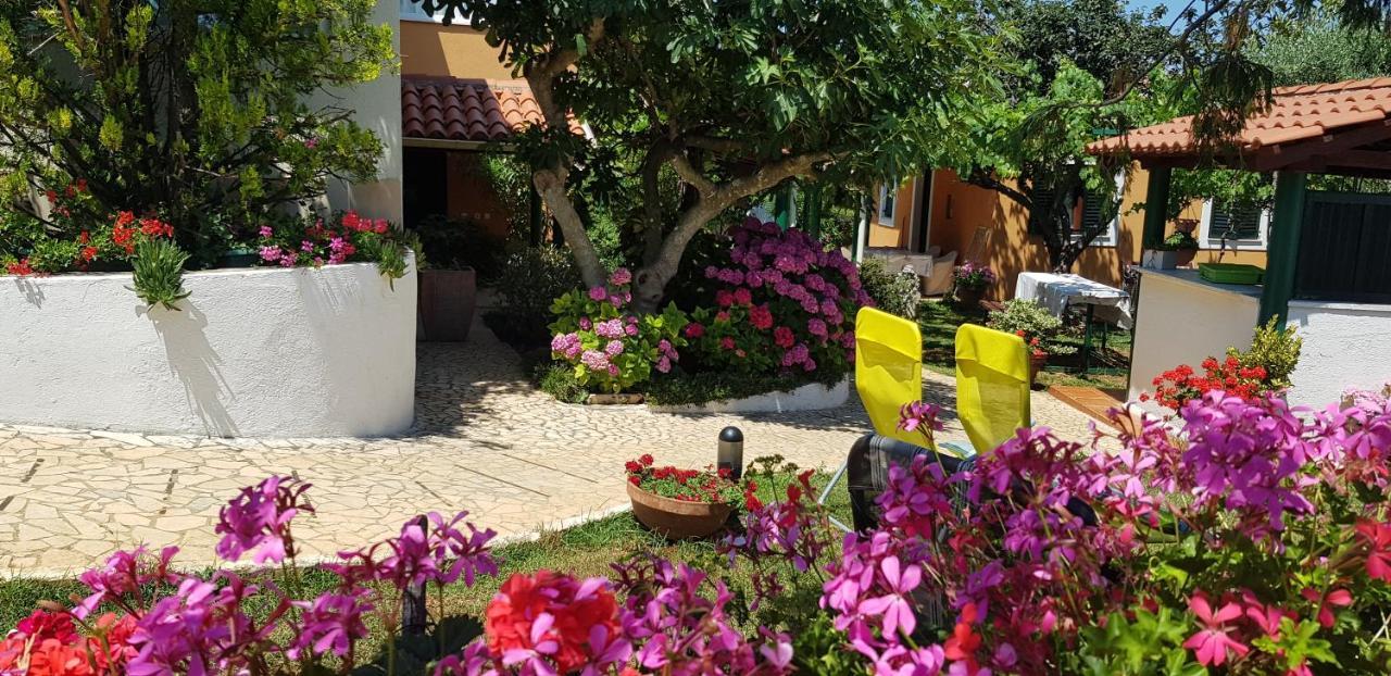 Guest House Bizjak Винкуран Экстерьер фото