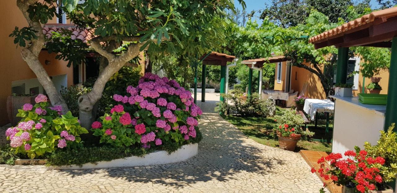 Guest House Bizjak Винкуран Экстерьер фото